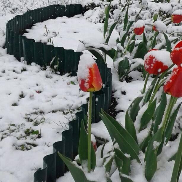 Ограждение грядки Волна зимой в Южно-Сахалинске