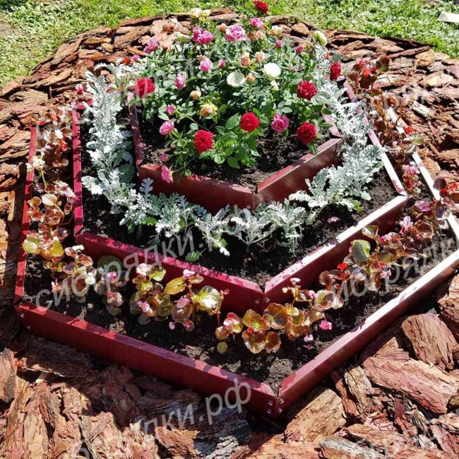 Клумба "Альпийская горка" в Южно-Сахалинске Клумба "Альпийская горка" в Южно-Сахалинске