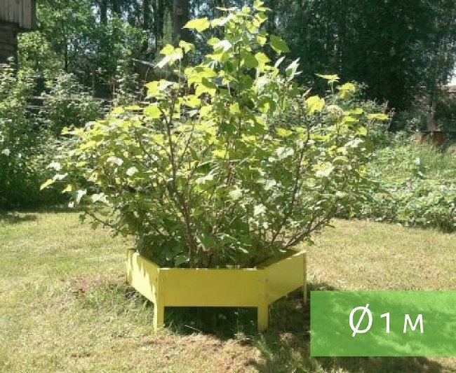 Клумба "Сота" 500 в Южно-Сахалинске